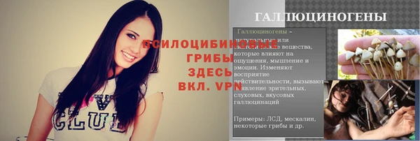 прущий лед Алзамай