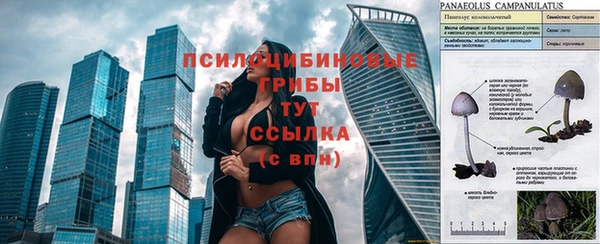 таблы Алексин