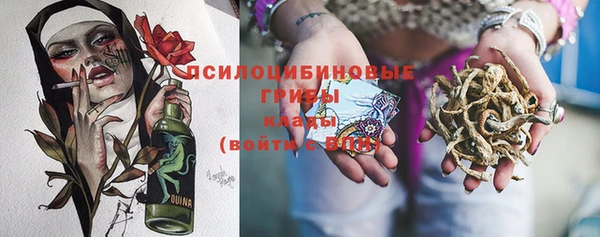 прущий лед Алзамай