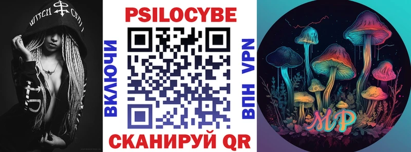 Псилоцибиновые грибы Cubensis  Себеж 